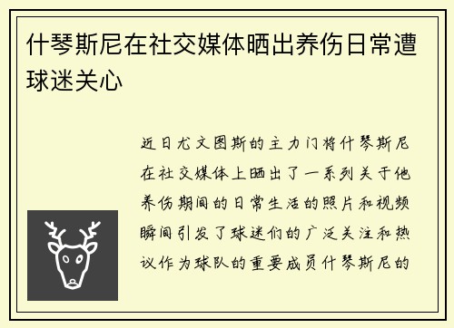 什琴斯尼在社交媒体晒出养伤日常遭球迷关心